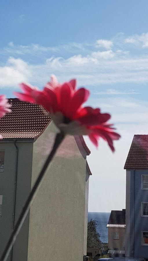 Apartment Deichkrone Sassnitz Dış mekan fotoğraf